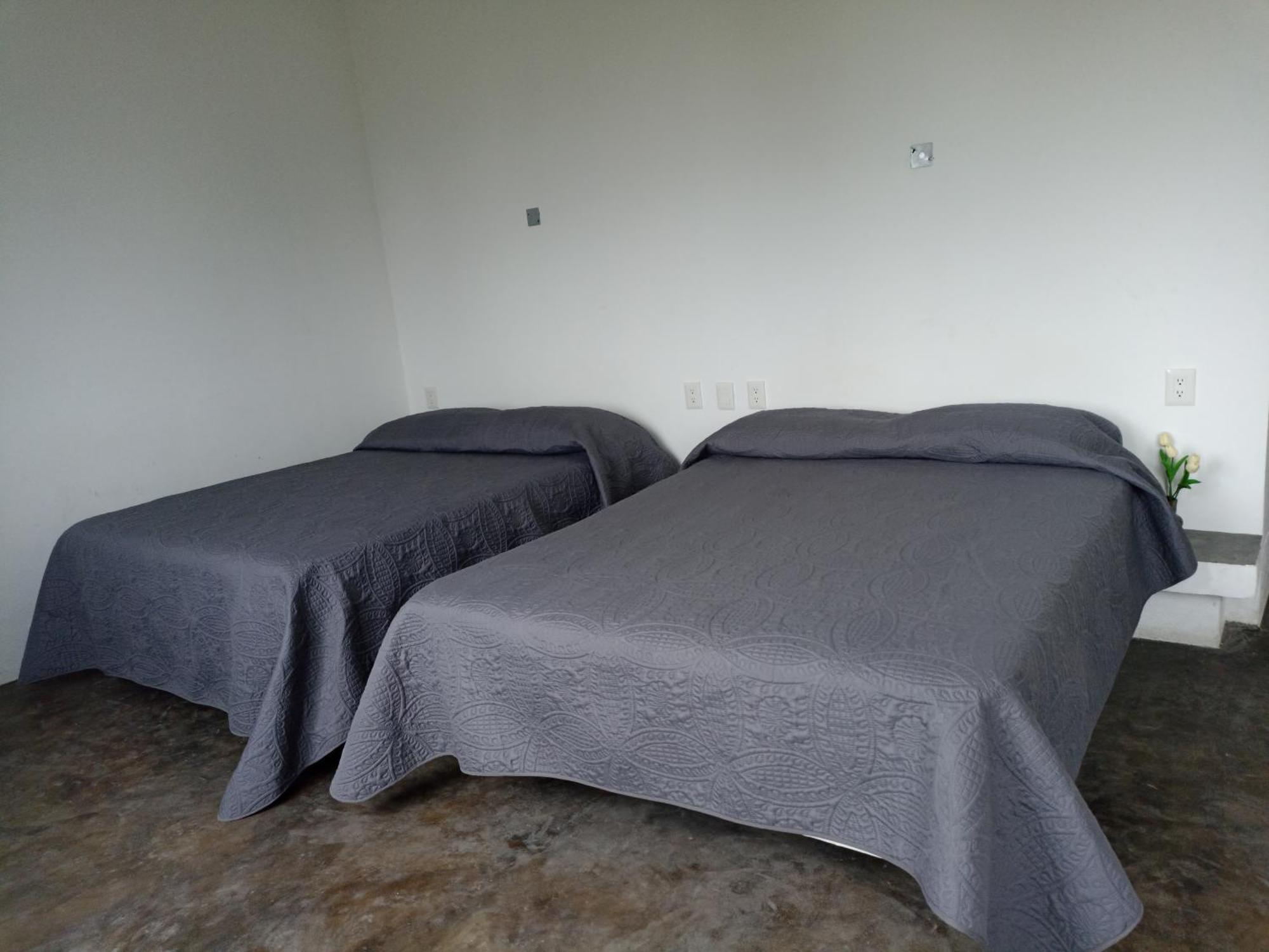 Don Pedrillo Hotel Oaxaca Екстериор снимка