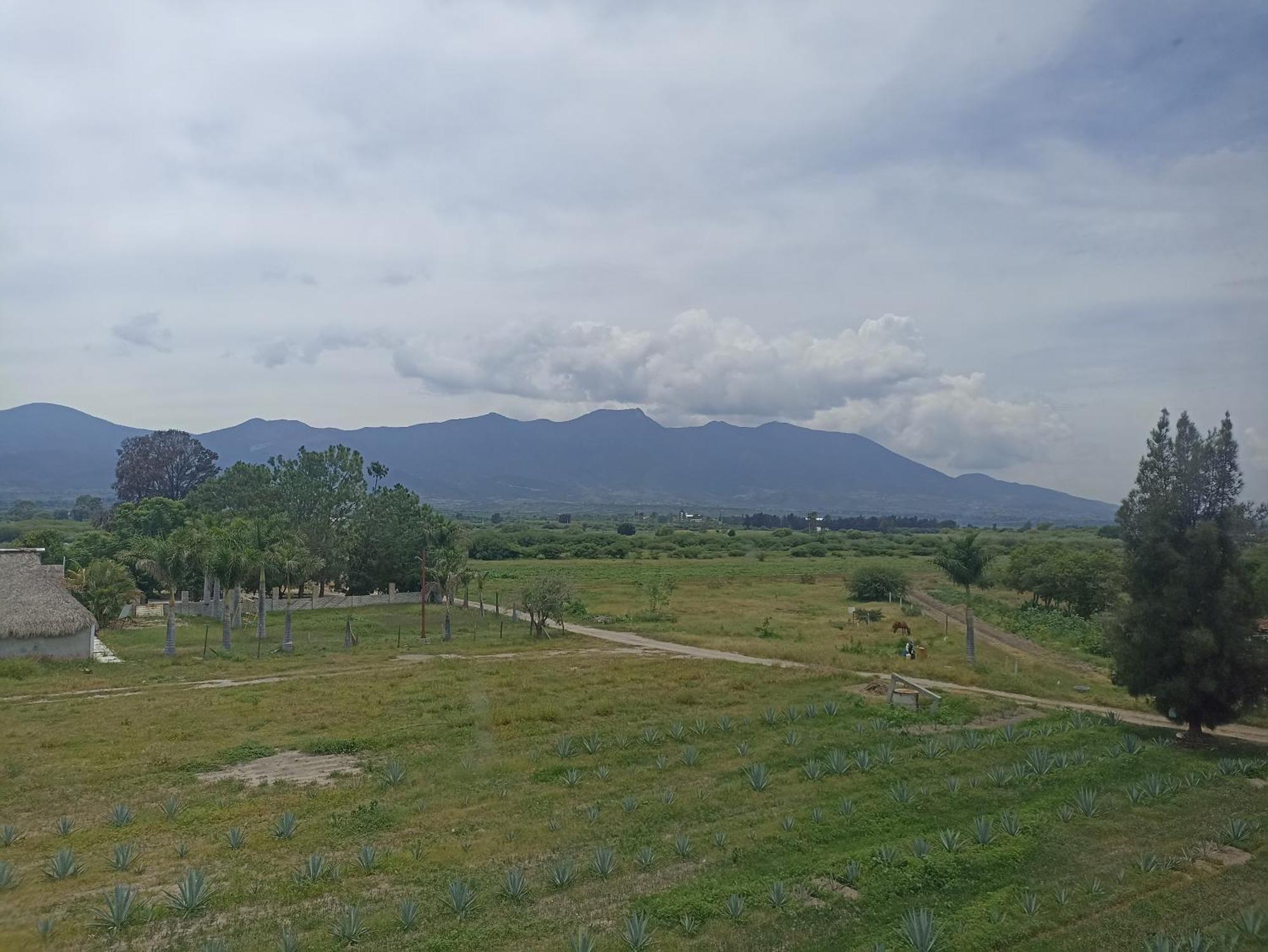 Don Pedrillo Hotel Oaxaca Екстериор снимка